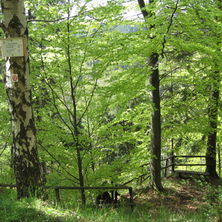 Aussichtspunkt Nonnenbank