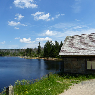 Striegelhaus am Oderteich