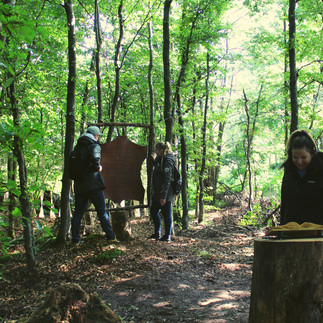 Naturmythenpfad Wolfstation