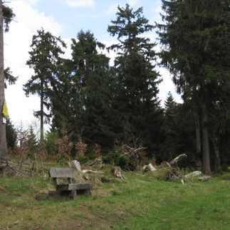 Auf dem Vorderen Ebersberg