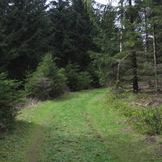 Wanderweg am Ebersberg