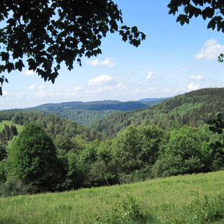 Blick ins Wolfsbachtal