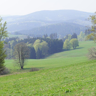 duftende Bergwiesen | Foto: S. Grüning