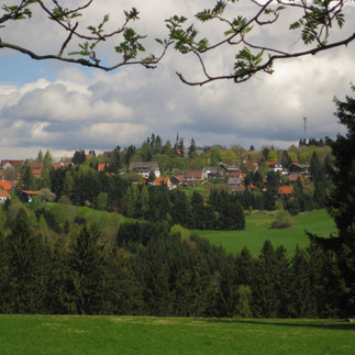 Blick vom Lampertsberg auf Hohegeiß