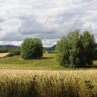 Blick auf die ehemalige Grenze