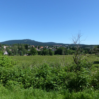 Blick auf Braunlage