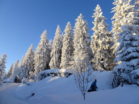 Vor dem Haus im Winter