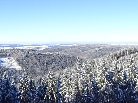Ausblick an der Ski Loipe