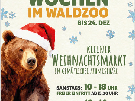 Screenshot 2025-11-28 144340.png