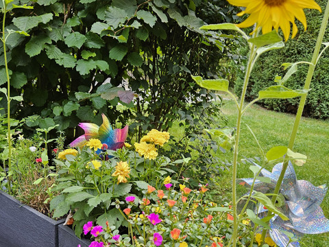 Blühende Oasen im Sommer