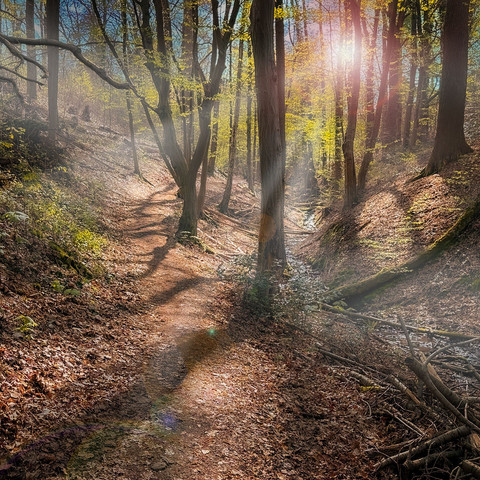 Mystische Landschaft