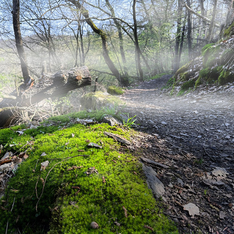 Mystische Landschaft