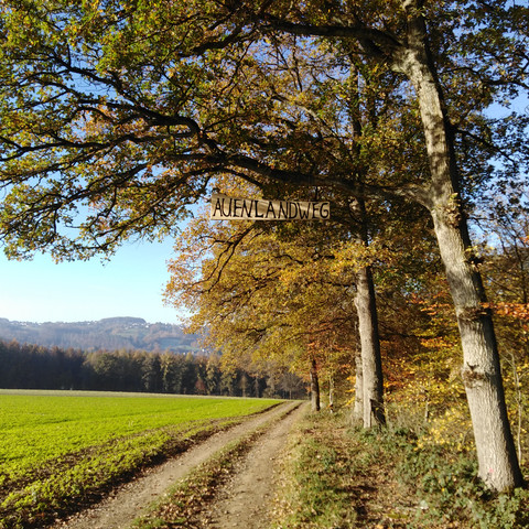 Auenlandweg