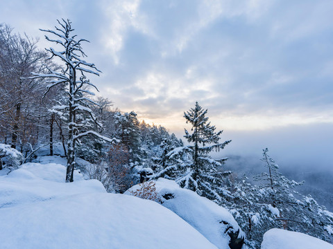 Waitzdorfer Aussicht