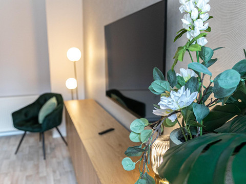 Ferienwohnung-Freiberg_WZ-07