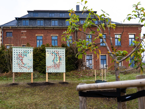 Gabriela Oberkofler, Labor einer Streuobstwiese, 2025; Courtesy: Gabriela Oberkofler; Foto: Natalie Bleyl