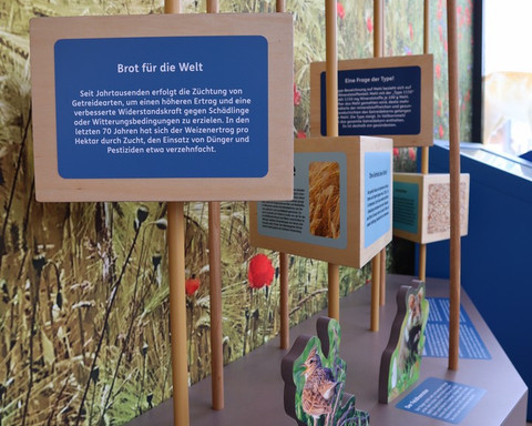 Infopoint Naturpark Kellerwald-Edersee