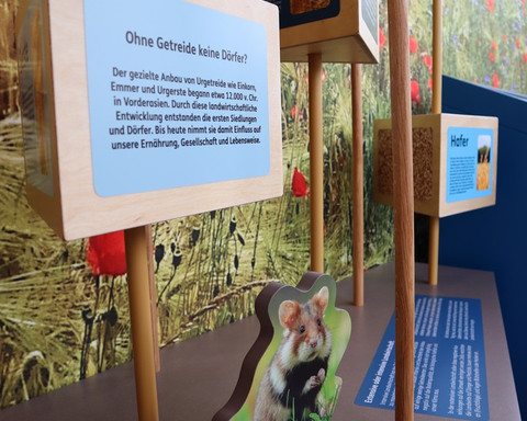 Infopoint Naturpark Kellerwald-Edersee