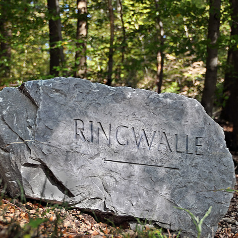 Hinweis Ringwälle Leuscheid