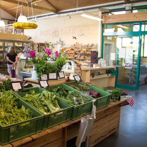 Biolandhof Apfelbacher in Bornheim 2018 Sommer Bornheim