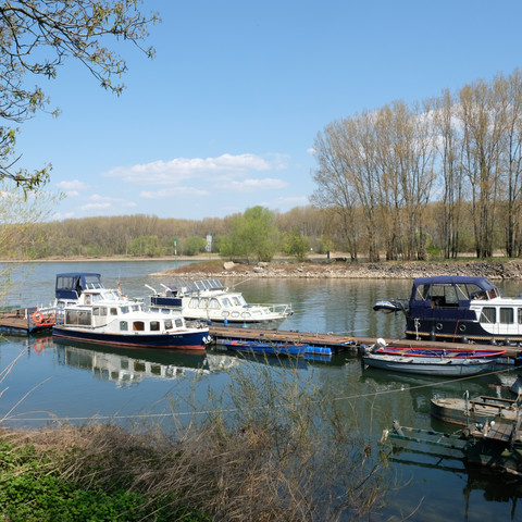 Herseler Werth, Bornheim