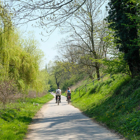 Radweg am Rhein, Bornheim