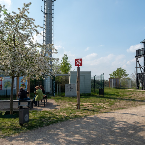 Erlebnisstation, Rheinische Apfelroute, LSV Turm, Bornheim