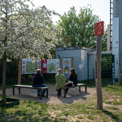 Erlebnisstation, Rheinische Apfelroute, LSV Turm, Bornheim