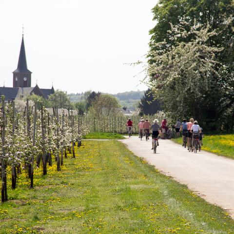 Radfahren im Frühjahr 2018 Frühling Meckenheimer Blütentour