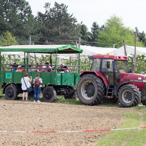Hoffest Obsthof Felten, Meckenheim 2018 Frühling Meckenheimer Blütentour
