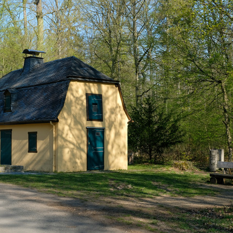Jägerhäuschen-Kottenforst, Meckenheim 2020 Frühling Meckenheim