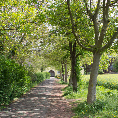 Schloss, Alfter 2018 Alfter bewegt