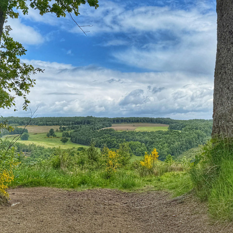 Weitblick von der Heide aus