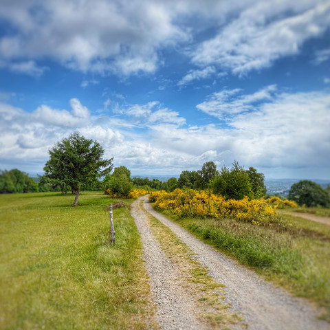 Naturschutzgebiet Heiden und Magerrasen Trupbach