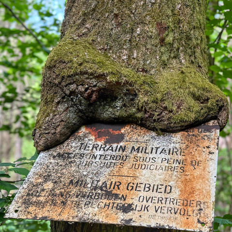 Ehemaliger Truppenübungsplatz