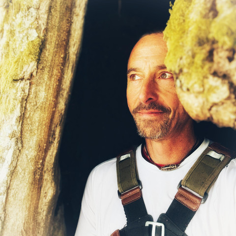 Eiche als natürlicher Unterstand