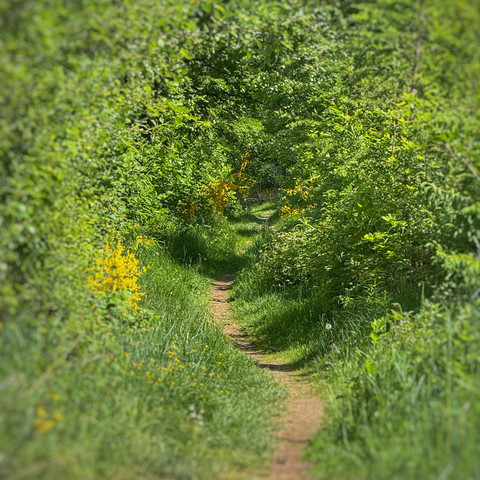 Pfade abseits der Panzerstraße