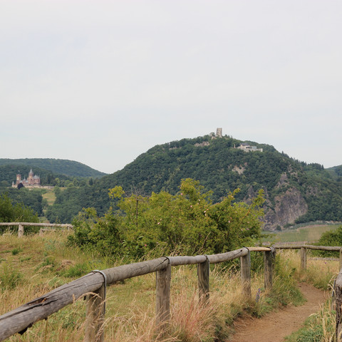 Rodderberg