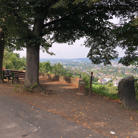 Heinrichsblick Naturschutzgebiet Rodderberg 2021 Herbst Wachtberg