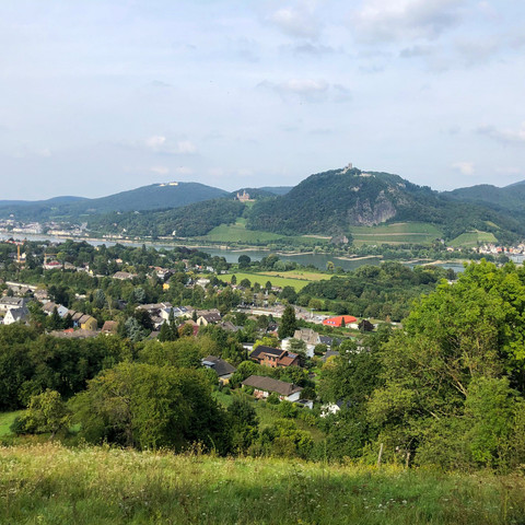 Naturschutzgebiet-Rodderberg 2021 Herbst Wachtberg