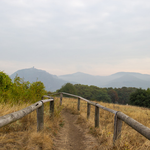 Naturschutzgebiet-Rodderberg 2018 Herbst Wachtberg