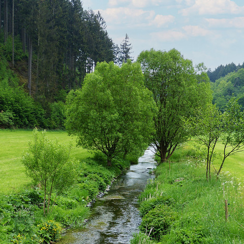 Natursteig Sieg Etappe 9