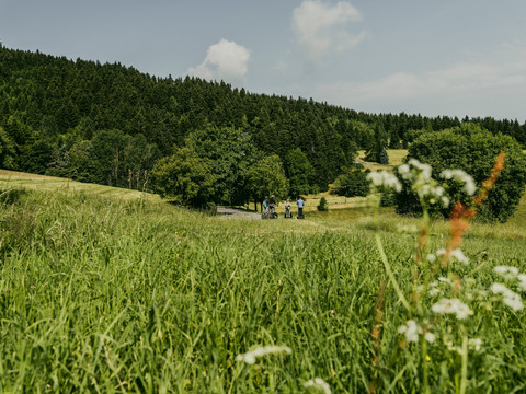 an der Vierenstraße