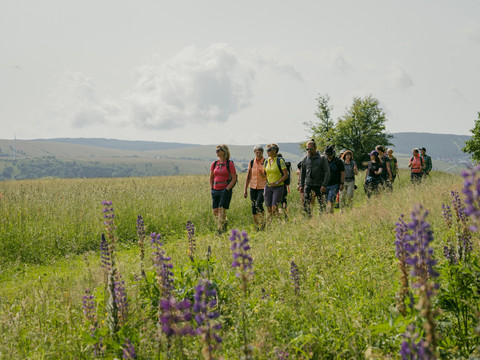 Wanderer an der Vierenstraße