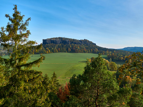 Quirl-Bz-Pfaffenstein-(c)-Yvonne-Brueckner-web.jpg Im Vordergrund Bäume im Hintergrund Feld mit Pfaffenstein.