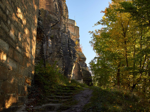 Patrouillenweg am Königstein Felsenwand der Festung Königstein in der Mitte ein weg und auf der rechten Seite Wald.
