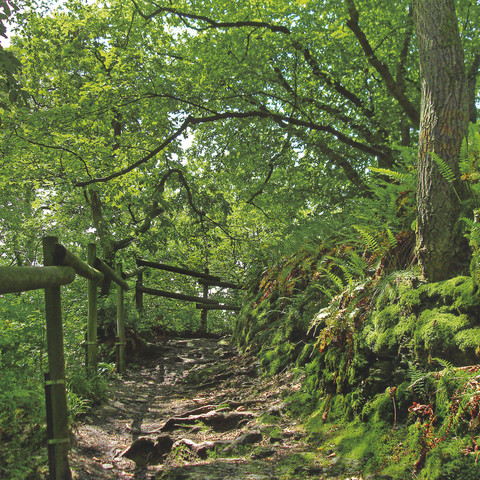 Schöne Pfade auf Etappe 2