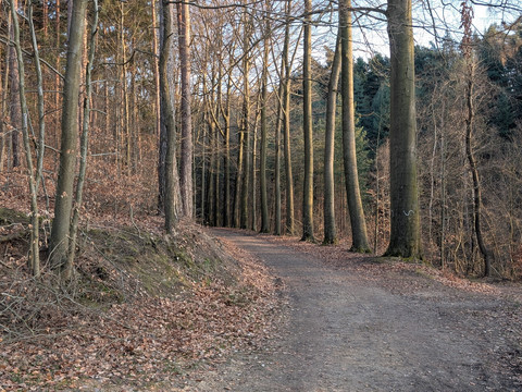 Radweg am Großen Bärenstein