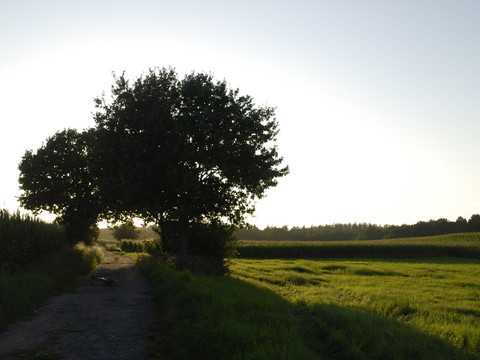 Meißner Weg in Moritzburg