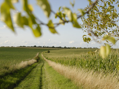 Neudeckmühlenweg Klipphausen
